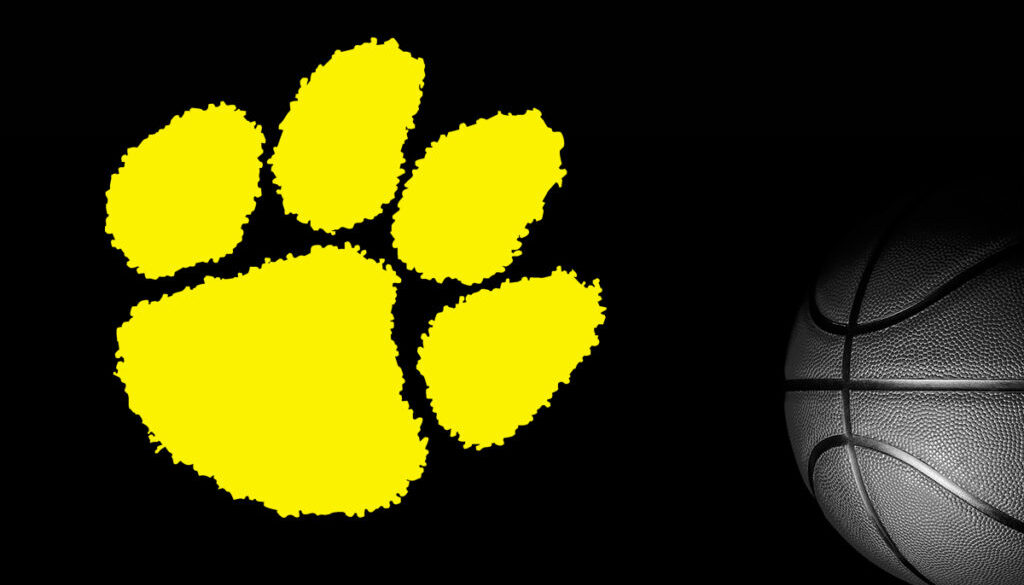 SWR_Basketball