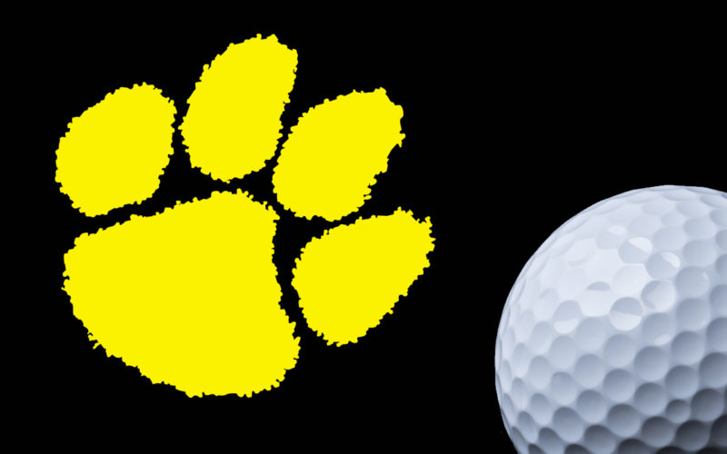SWR defeats Chatham Central in ladies golf