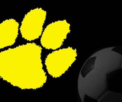 SWR_Soccer