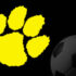 SWR_Soccer