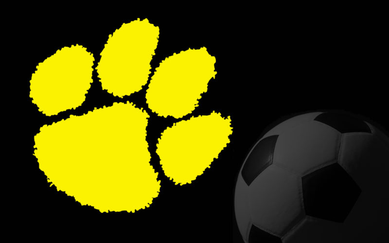 SWR men’s soccer cruises past North Stanly