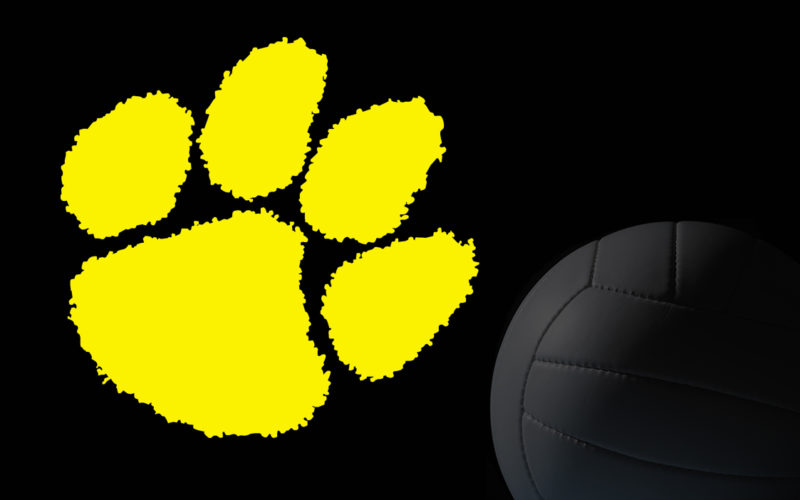 SWR tops Trinity in volleyball