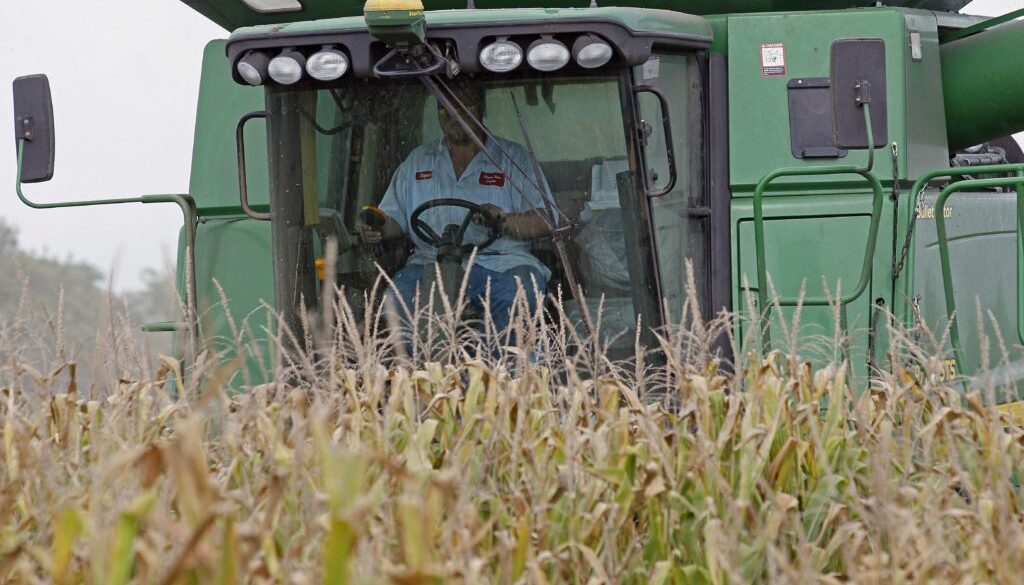 Irene NC Farmers