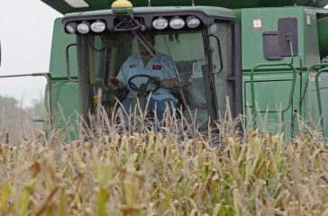 Irene NC Farmers