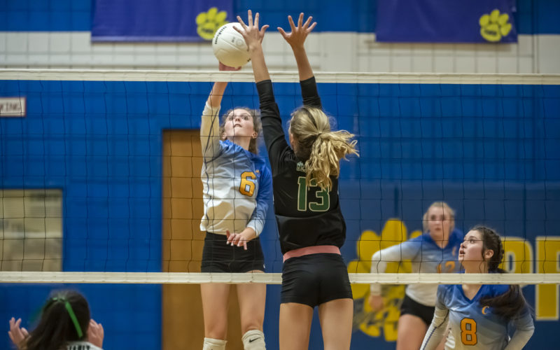 SWR reaches final eight in Class 2-A volleyball playoffs