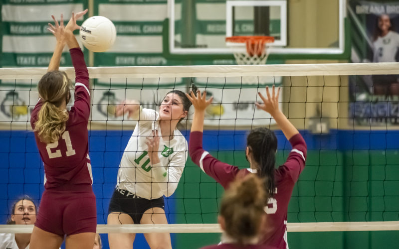 UCA tops Gray Stone to advance in volleyball playoffs
