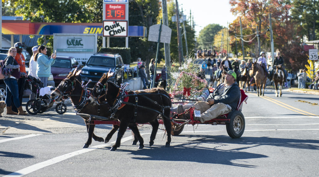 Justin Richardson won Best Team during the 20th annual Asheboro Fall Roundup Horse Parade in downtown Asheboro, on Nov. 7, 2021. (PJ WARD-BROWN/NORTH STATE JOURNAL)