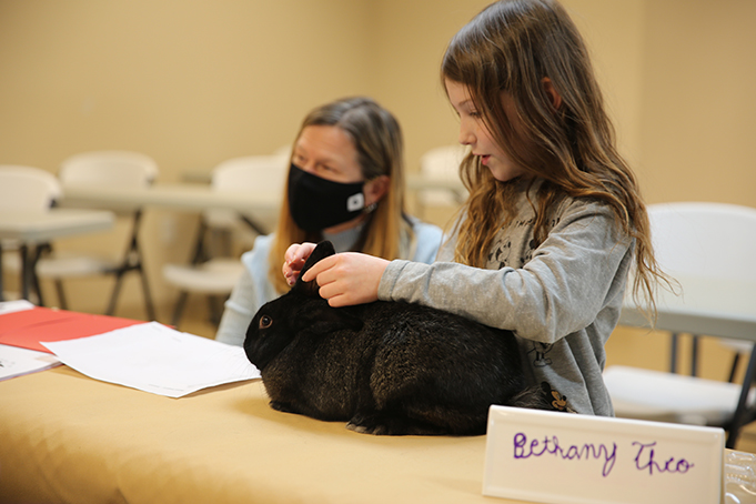 Bethany interacts with her rabbit, Theo, during the meeting. (LAUREN ROSE/NORTH STATE JOURNAL)