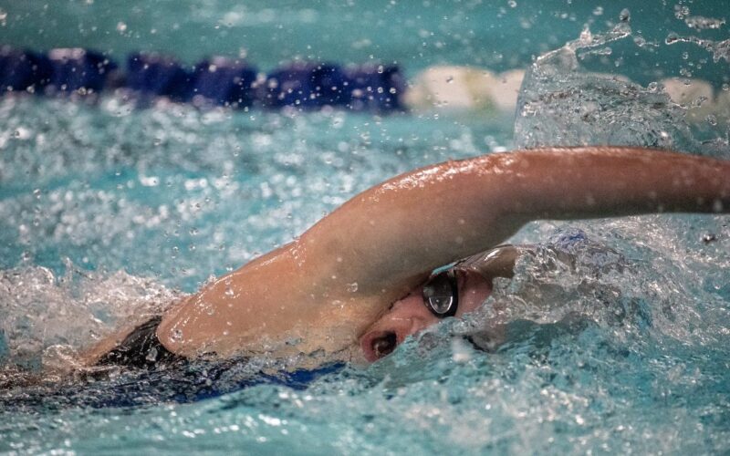 Area swimmers set for state meets