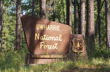 UhwarrieNationalForestsign