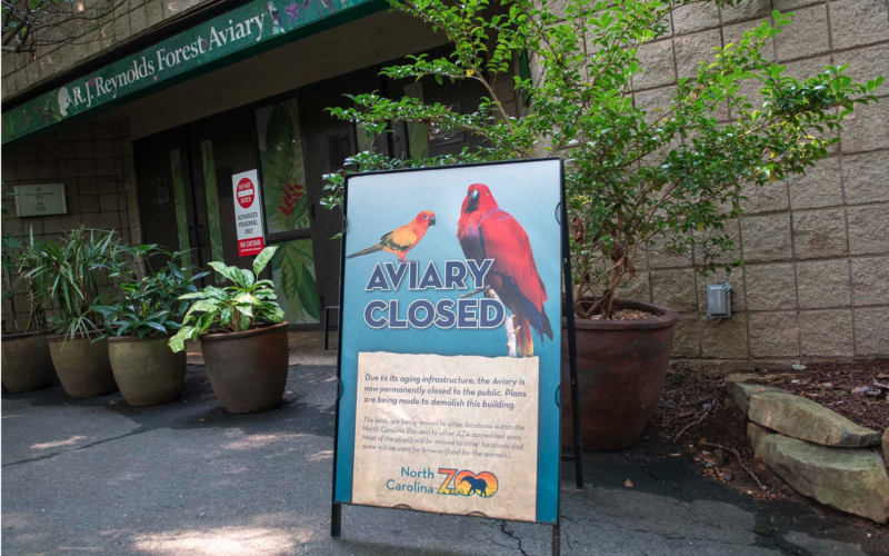 NC Zoo working to secure funding to rebuild aviary