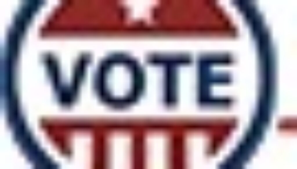 NC voter logo