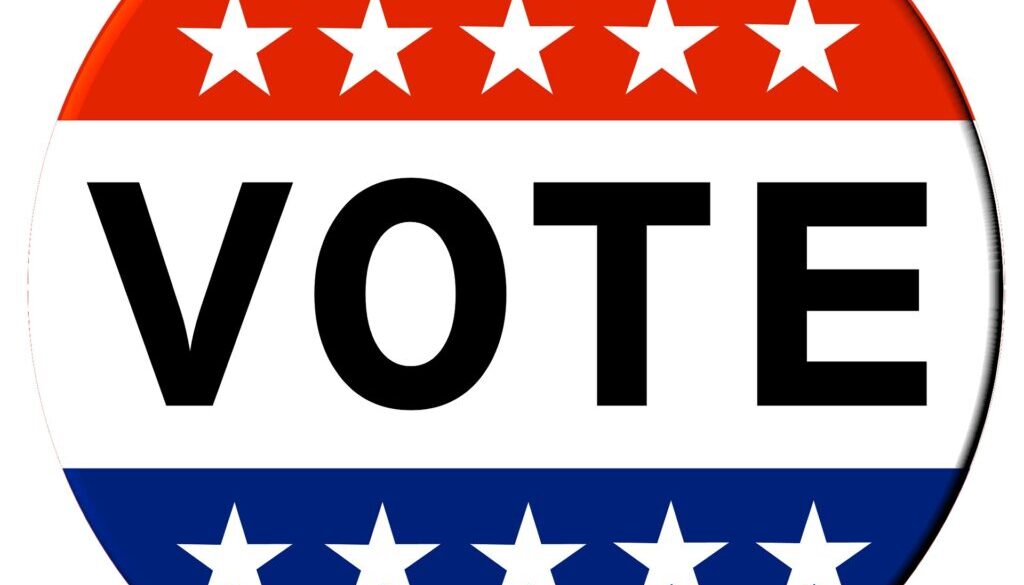 vote logo test
