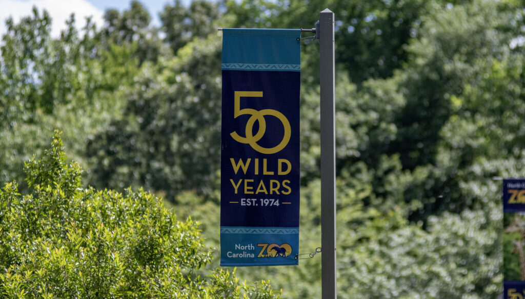NC ZOO-051124-114.NEF