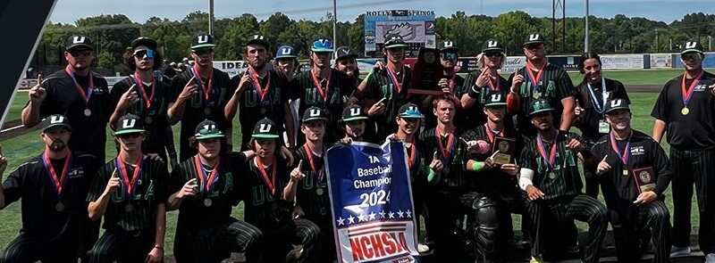 Eagles soar to state baseball crown with stellar pitching
