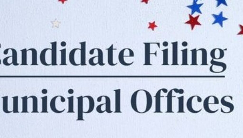 Election filing online graphic