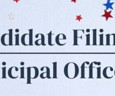 Election filing online graphic
