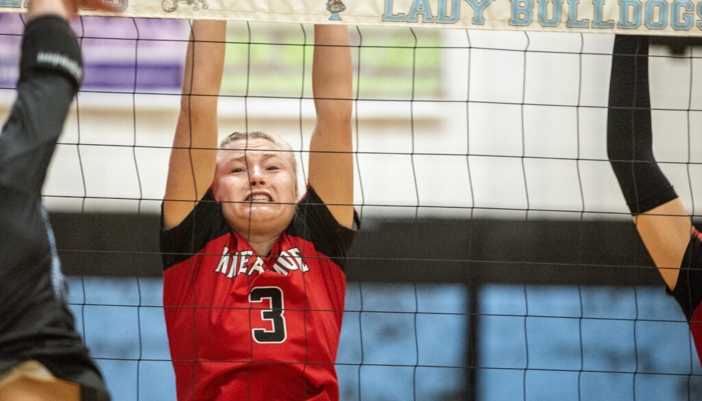 Wheatmore volleyball Alby Pulaski 2023