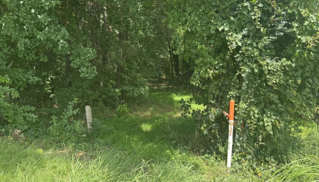 North Asheboro Greenway photo