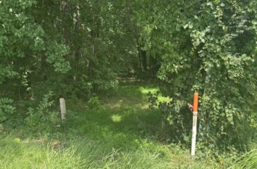 North Asheboro Greenway photo