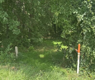 North Asheboro Greenway photo