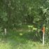 North Asheboro Greenway photo