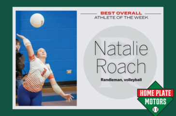AOTW graphic Natalie Roach AOTW graphic Natalie Roach