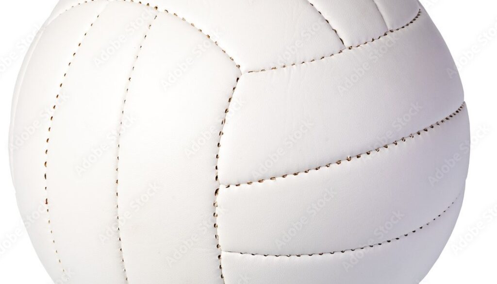 volleyball stock image photo for web