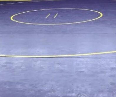 wrestling mats for stock image